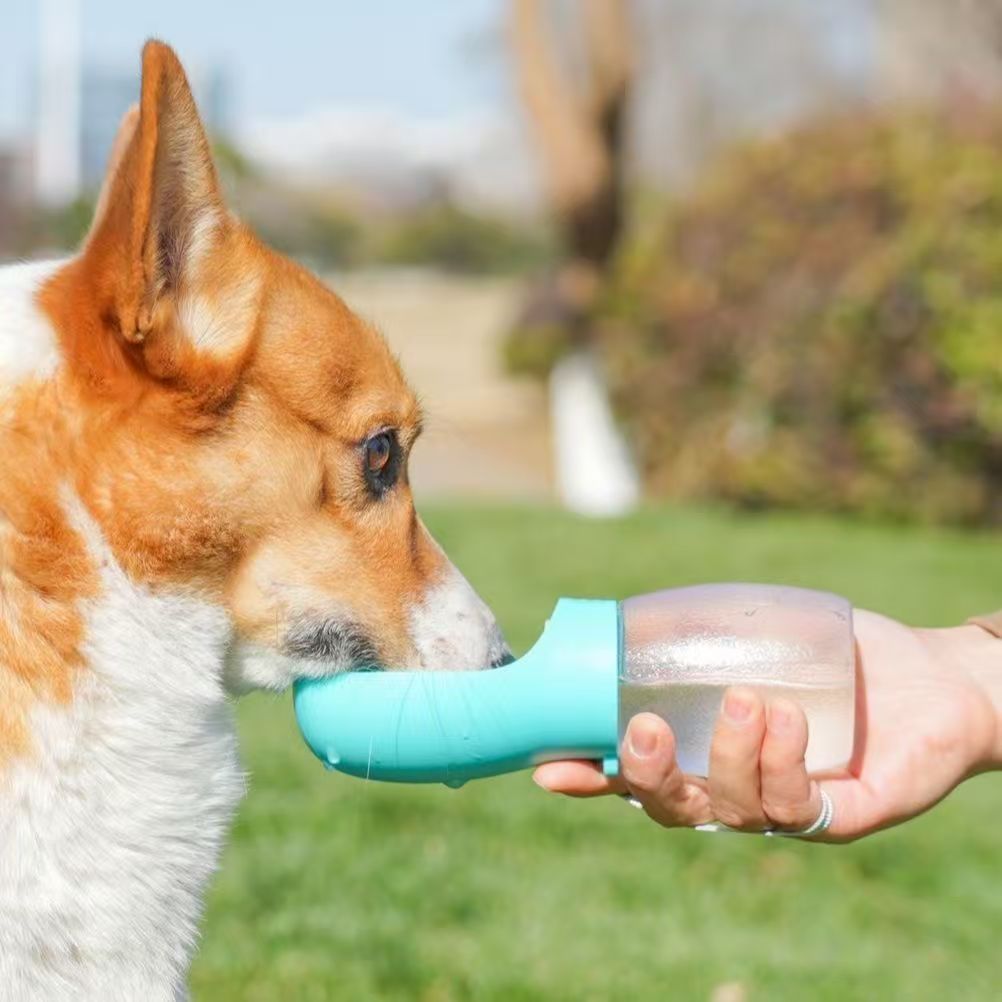 Outdoor Adventure Walks - Bouteille d'eau portable pour animaux de