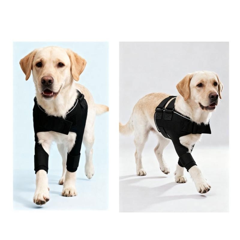 Outdoor Adventure Walks - Aide articulaire soutien d'épaule chien confortable